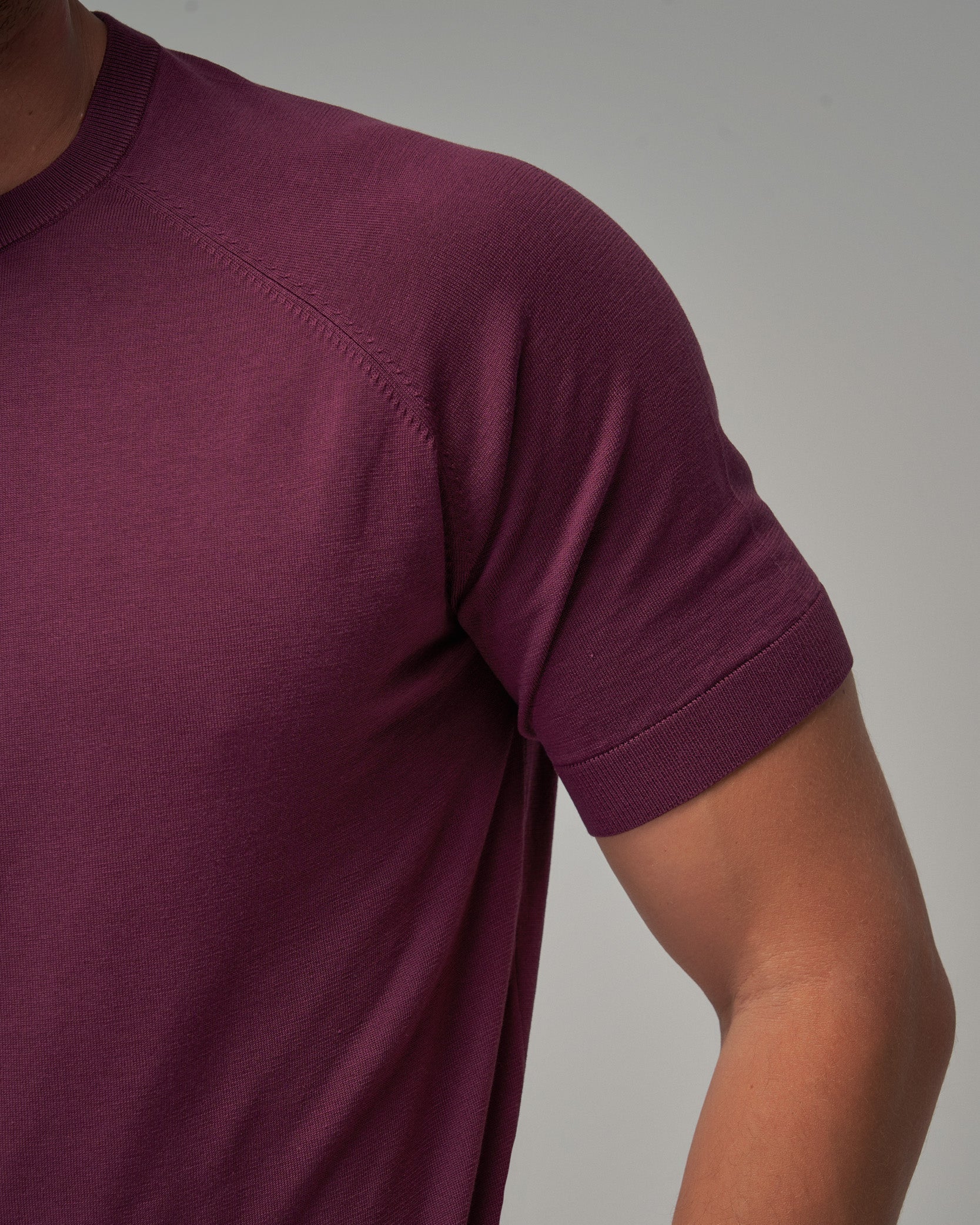Raglan Sleeve T-Shirt - Plum - Brent Wilson